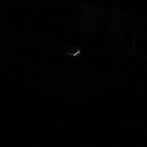 Meet your Posher, Cathy